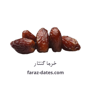 خرما گنتار عمده