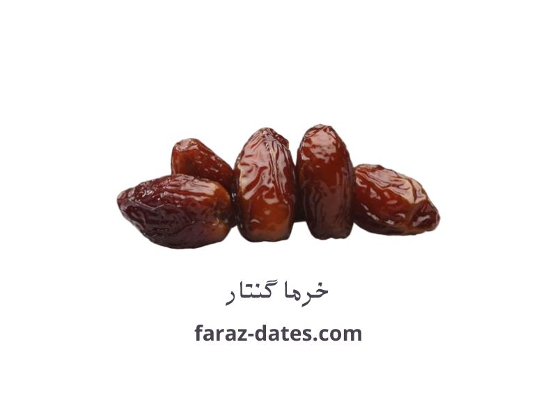 خرما گنتار عمده