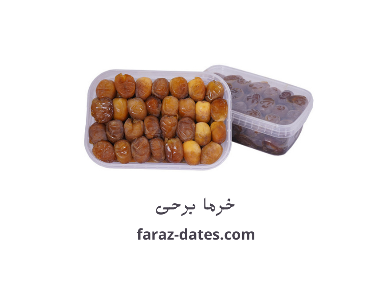 خرما برحی