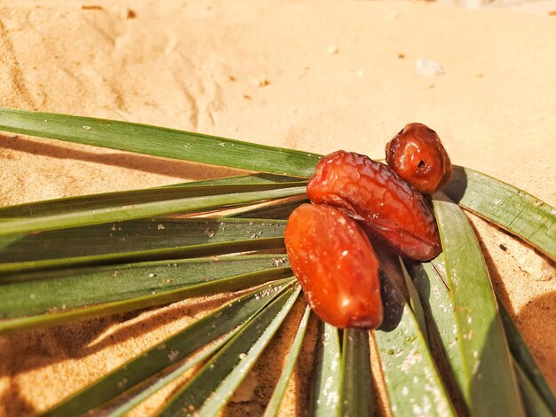 خرمای استعمران صادراتی خوزستان