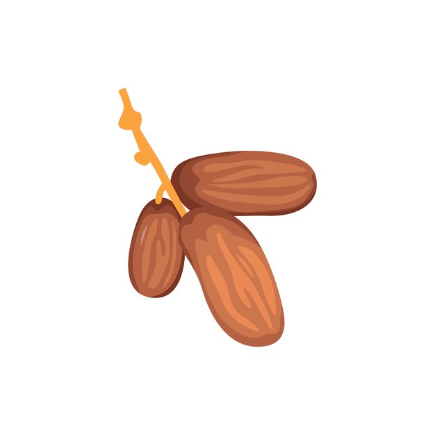 خارک چیست؟